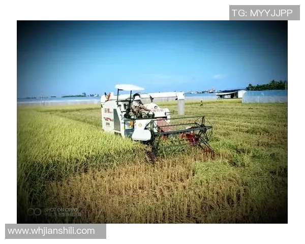 洛尔邓的传奇人生与时代变迁的深刻影响探索